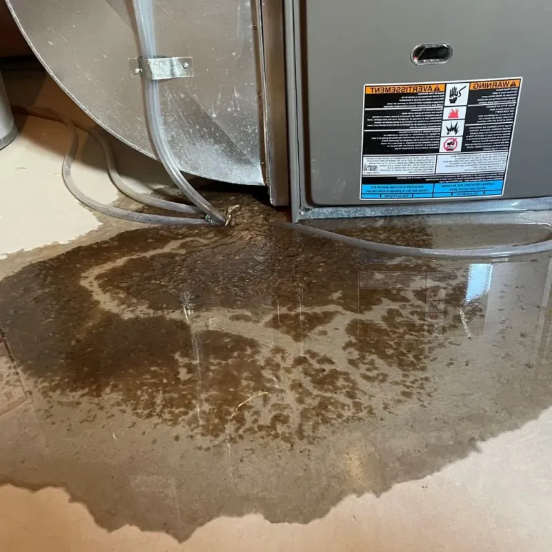 Pipe Burst and Leak Restoration in Belmont Estates, VA